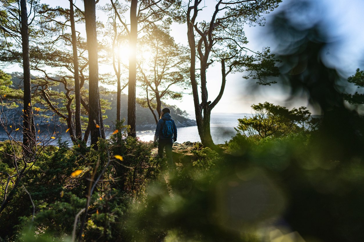 A hiker exploring Fjord Norway in the autumn