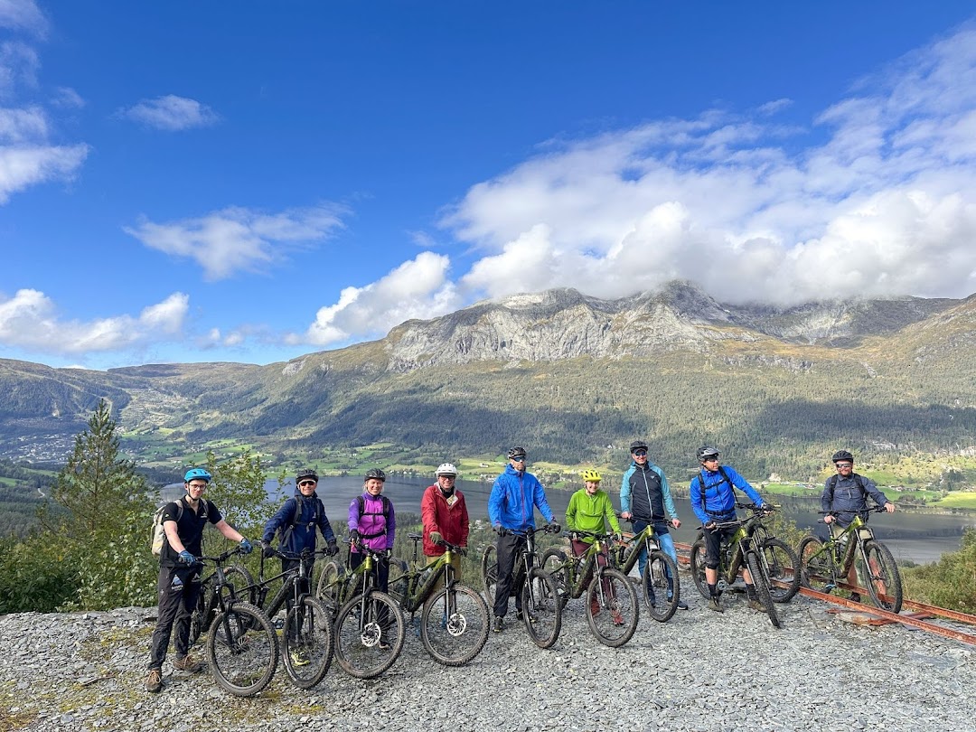 Mountain biking in the forest trails