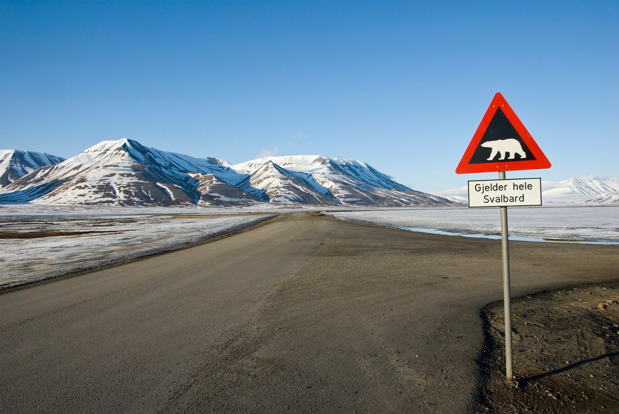 A sign warning about polar bears in Svalbard, Norway, next to a road