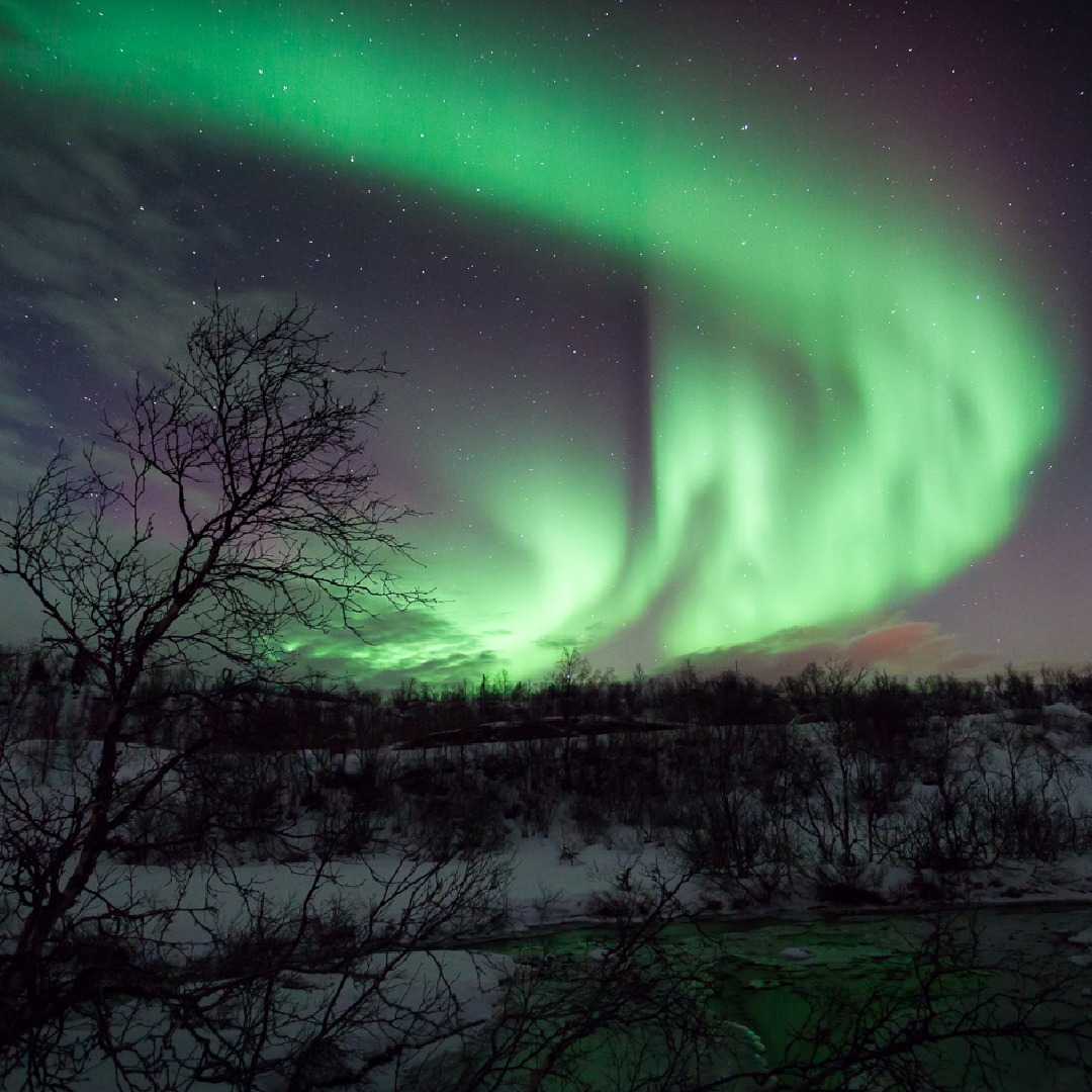 Northern Light
