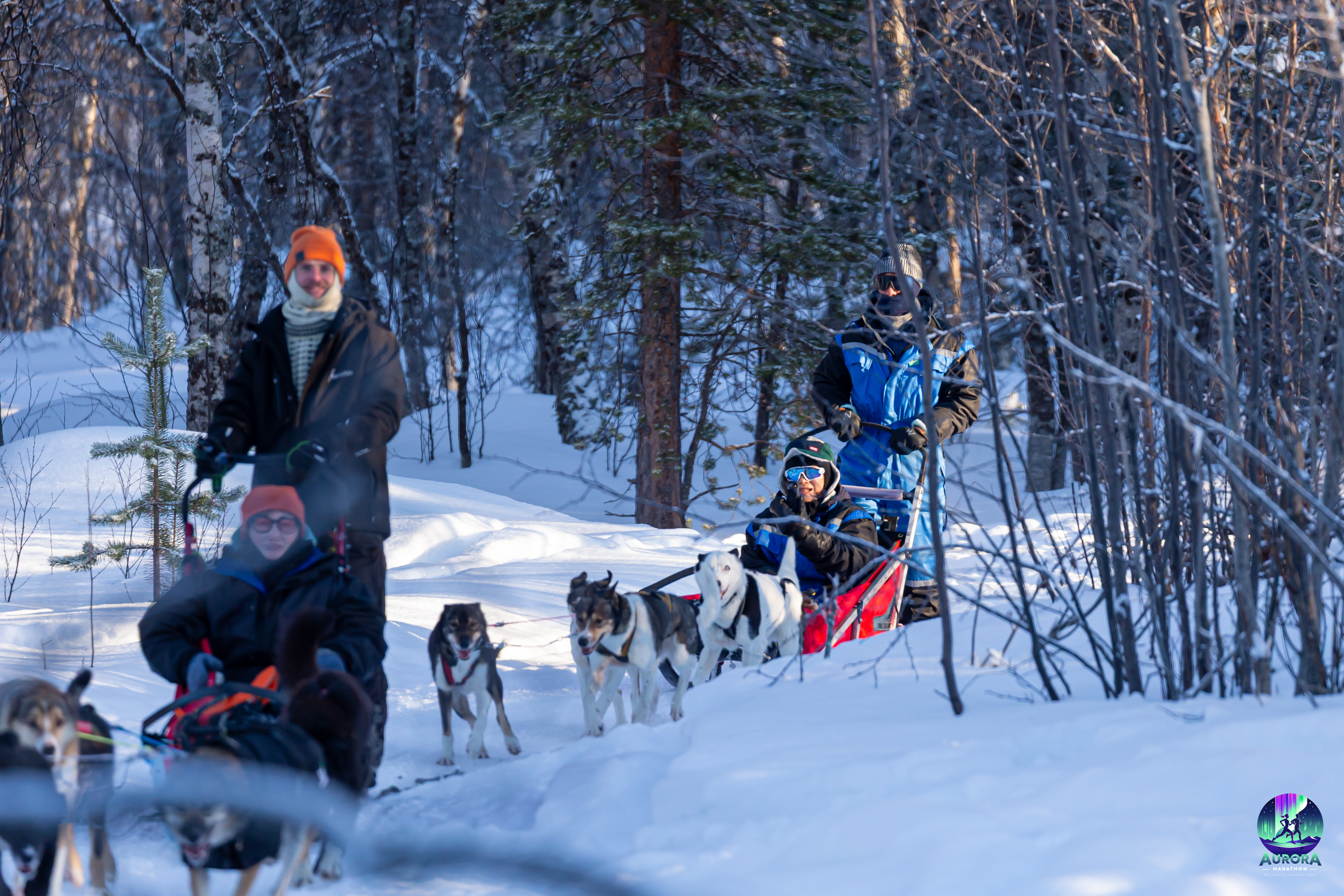 Dogsledding in Gargia Valley